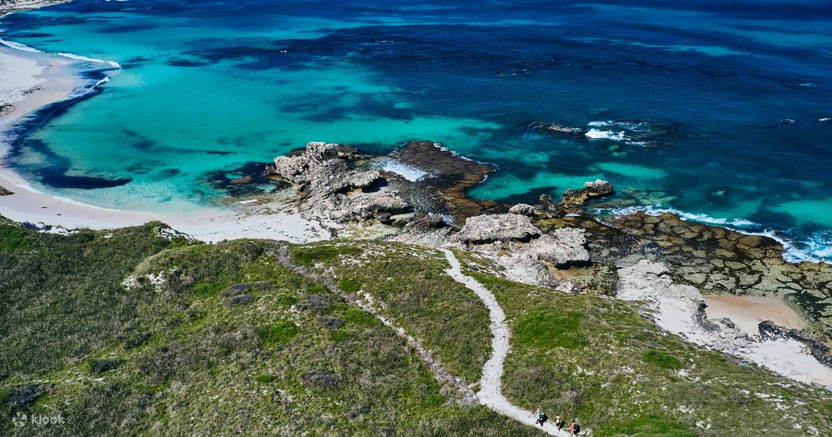 rottnest island guided tours